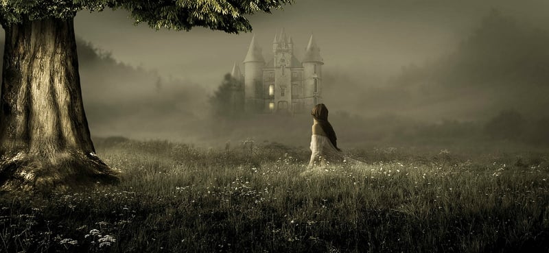 Enchanted Forest
