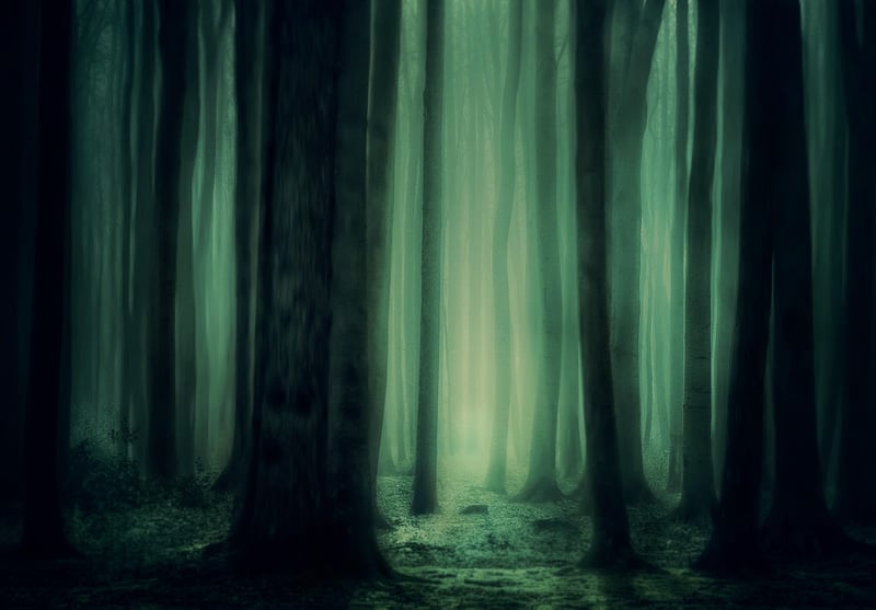 Fairytale Grove